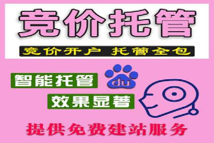SEM优化师实战：从数据驱动优化广告投放